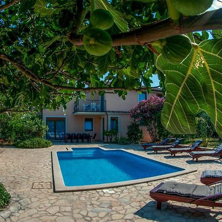 House /Villa Maja Ližnjan Zewnętrze zdjęcie